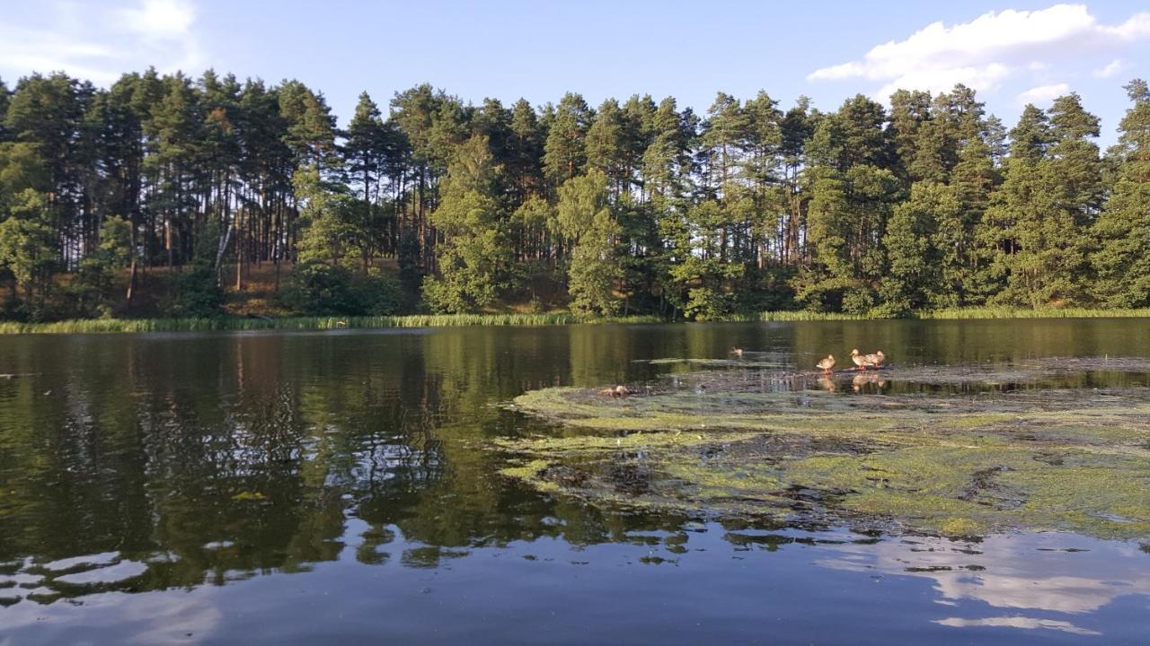 Osrodek Wypoczynkowy Soszko Villa Swornegacie Bagian luar foto