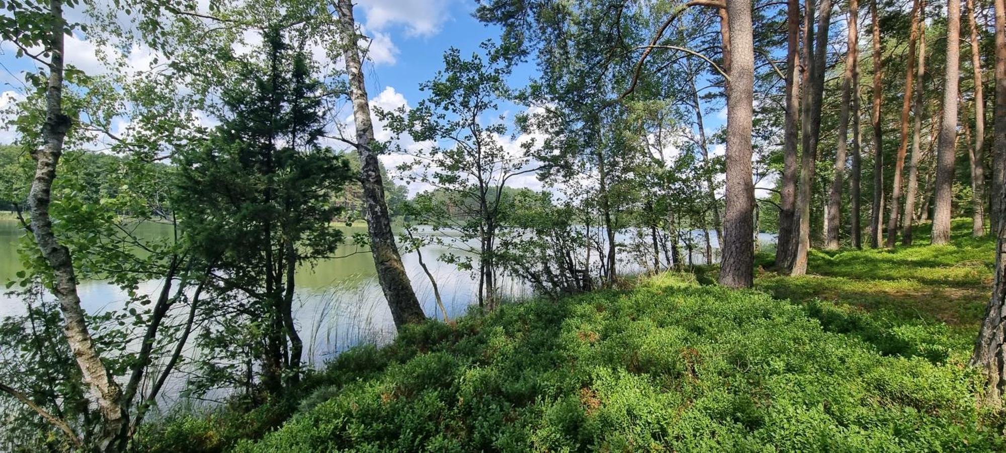 Osrodek Wypoczynkowy Soszko Villa Swornegacie Bagian luar foto