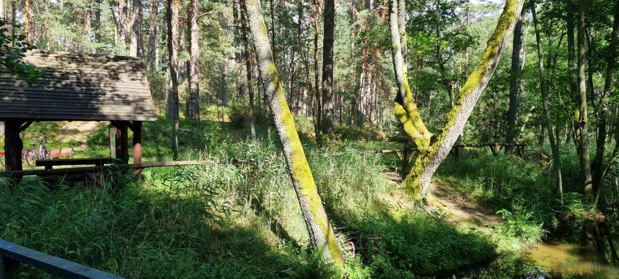 Osrodek Wypoczynkowy Soszko Villa Swornegacie Bagian luar foto