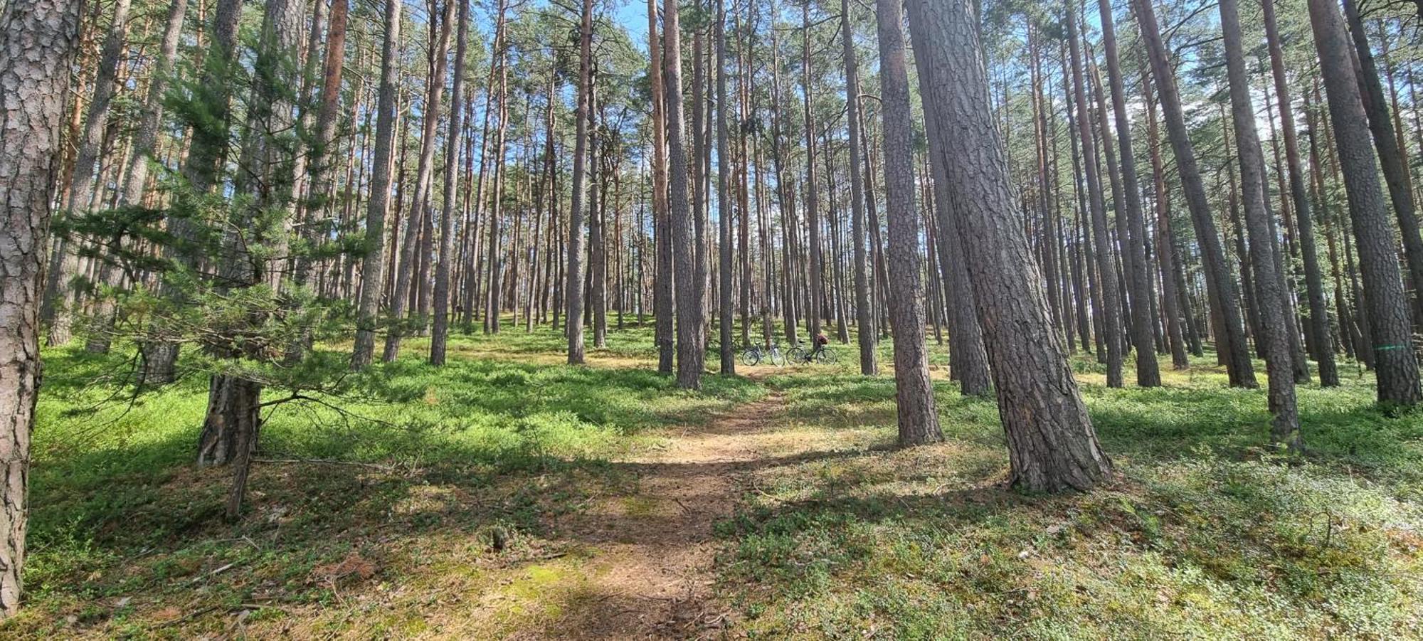 Osrodek Wypoczynkowy Soszko Villa Swornegacie Bagian luar foto